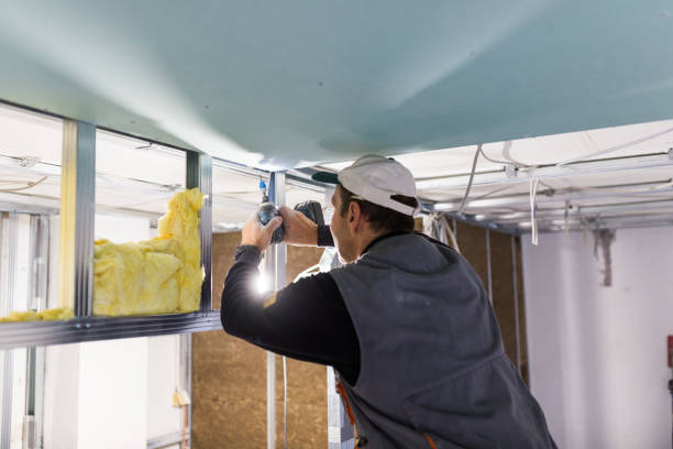 Best Attic Insulation Installation  in Ordway, CO